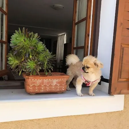 Marina's Place Apartment *